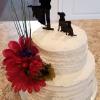 Simple wedding cake